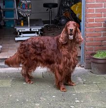 IMG_3476