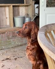 IMG_5608 (2)