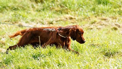 IMG_6676