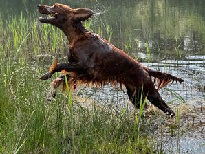 IMG_8233