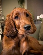 IMG_9723