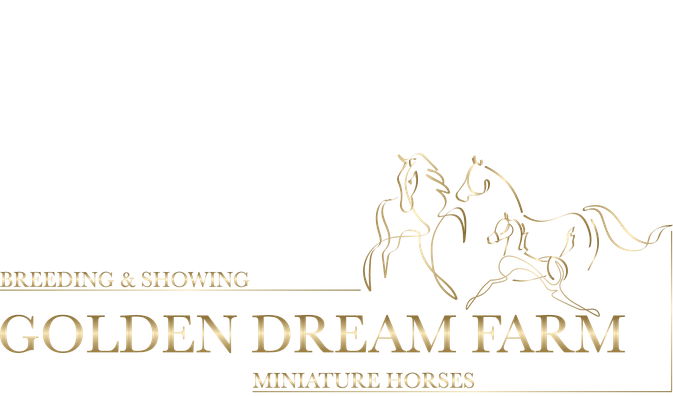 GoldenDreamFarm