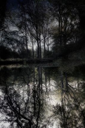 Into the Shadows