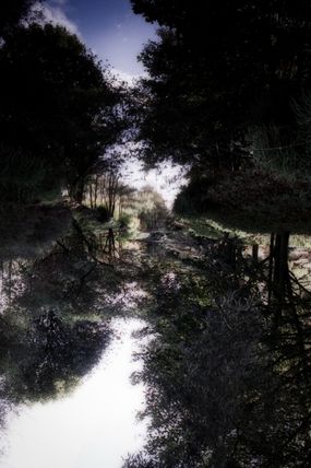 Lost in Reflections