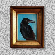 Baby Crow (Verkocht)