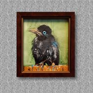 Crow-Ing Up