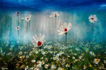 Merged Reflections 6