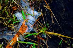 Shallow Waters Ten