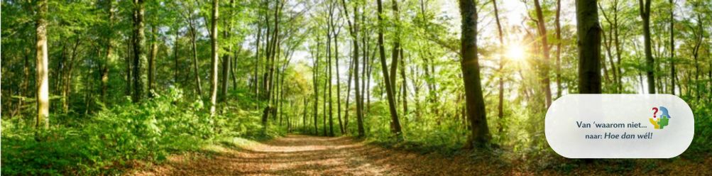 Het Knegselse bos is het ideale werkveld van NLP coach Hugo Bouman van Hoofdzakelijk Coaching & Consultancy