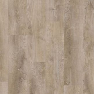 Desert Oak