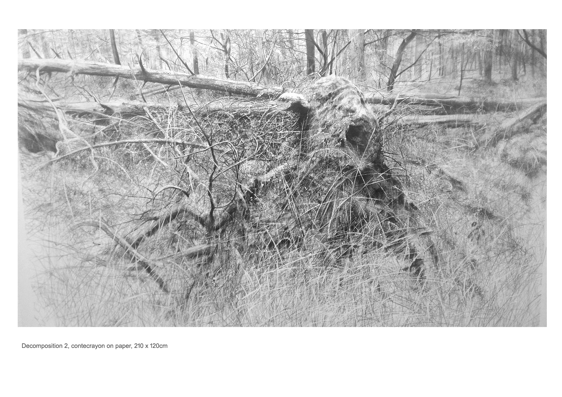 Decomposition 2