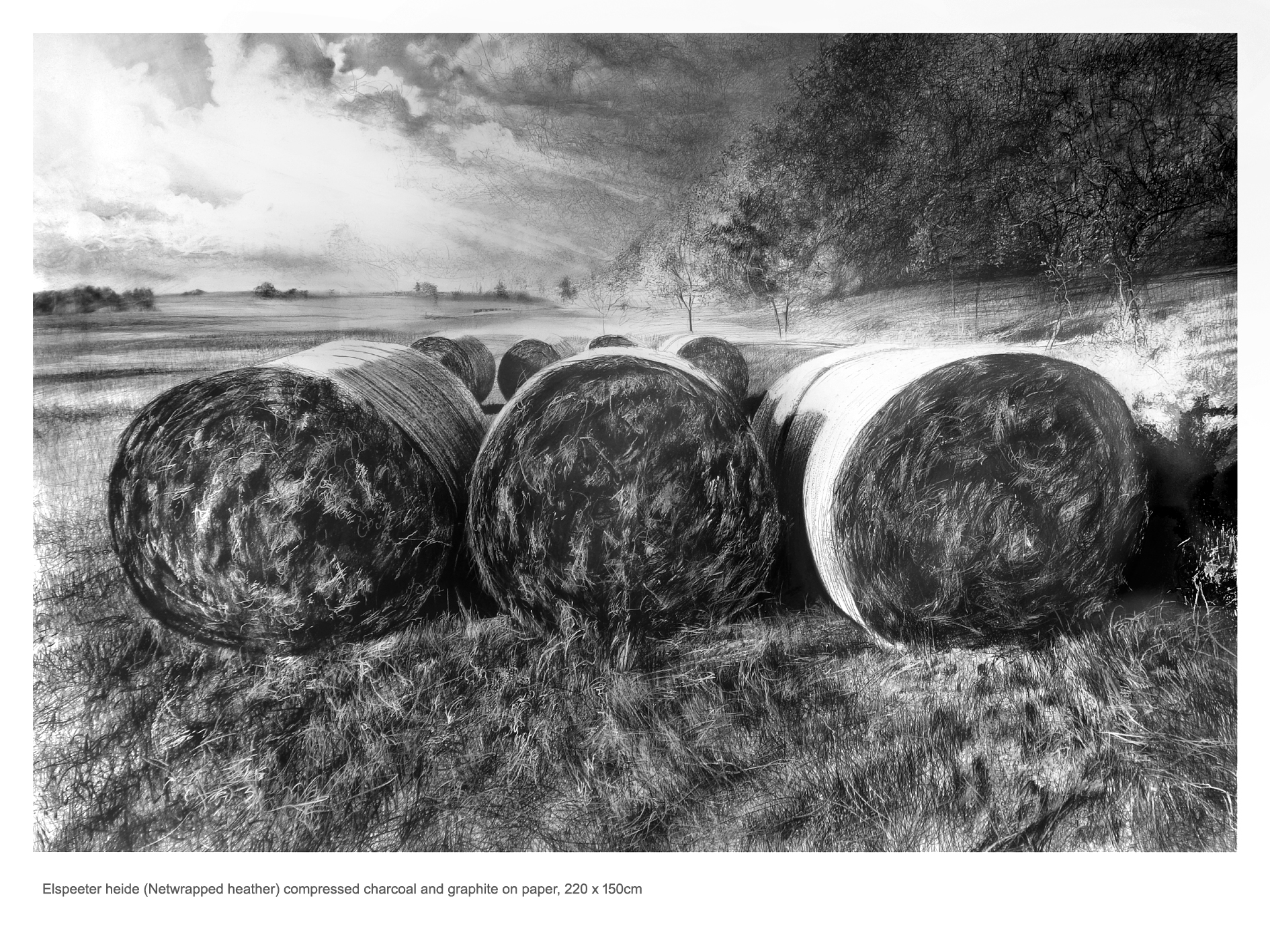 net wrapped heather