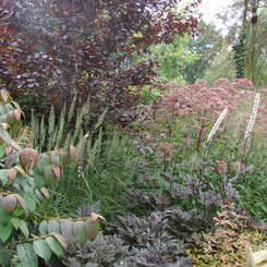 image11