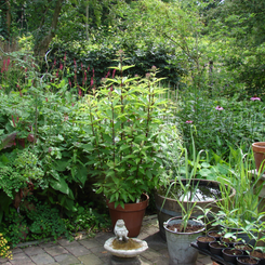 image2_
