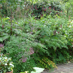 image3._