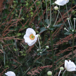 image6...