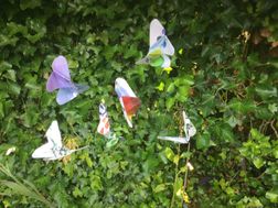 'Dans in de wind"