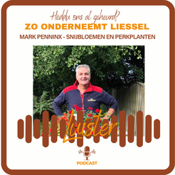 #10 Mark Penninx - Snijbloemen en Perkplanten