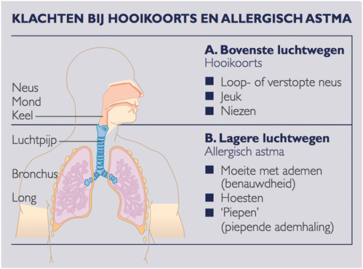 deze