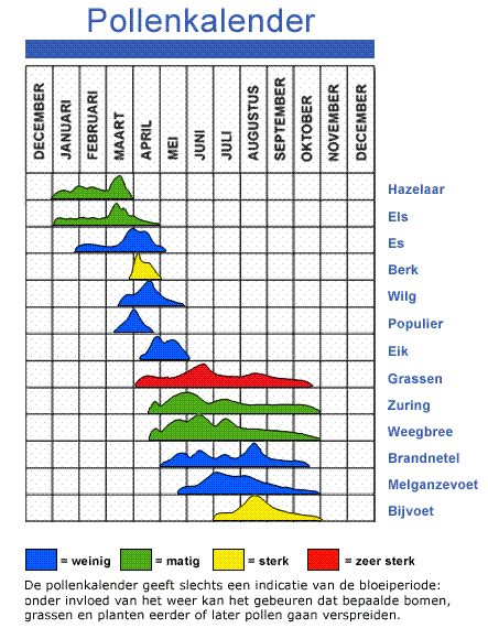 pollenkalender 1
