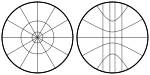 gnomonic, central, centrographic, gnomic