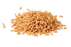 Orzo