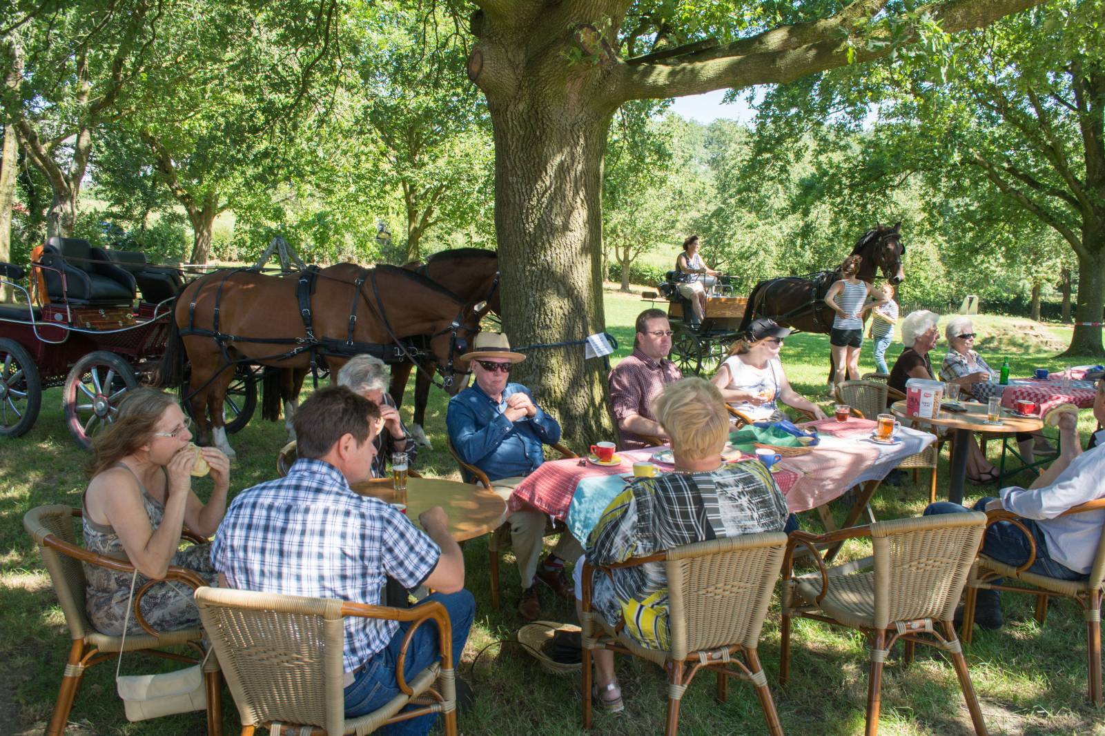 picture-1600 - 2023-09-11T091255.862