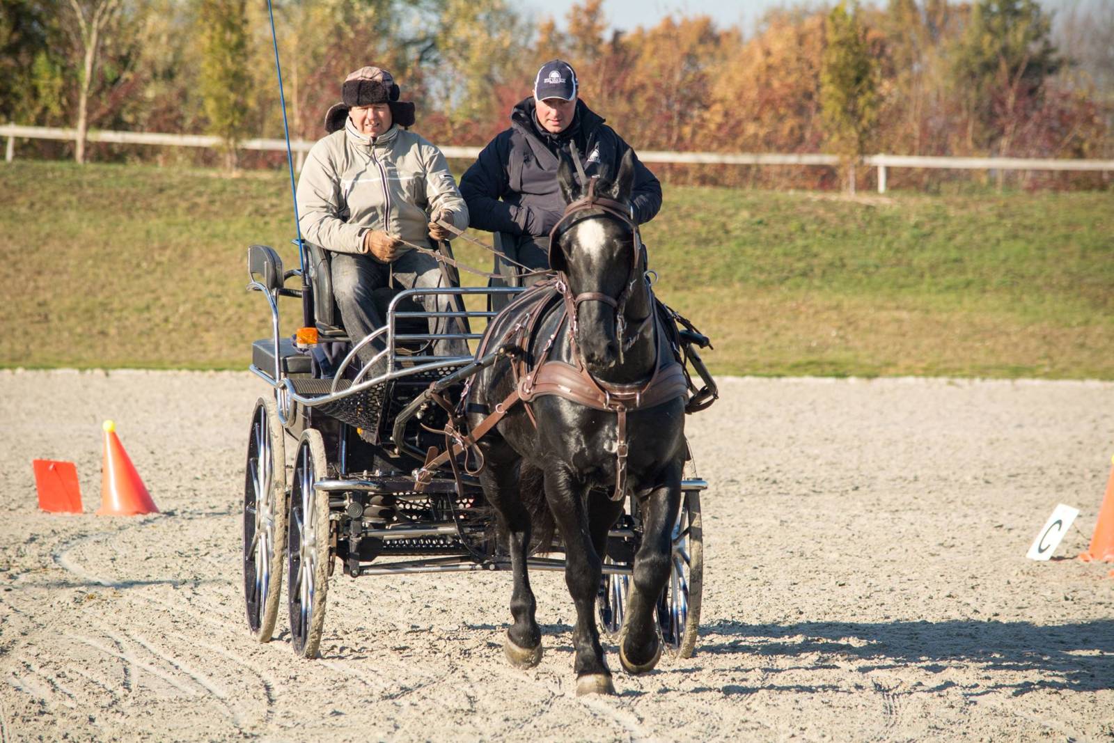 picture-1600 - 2023-09-11T091603.846