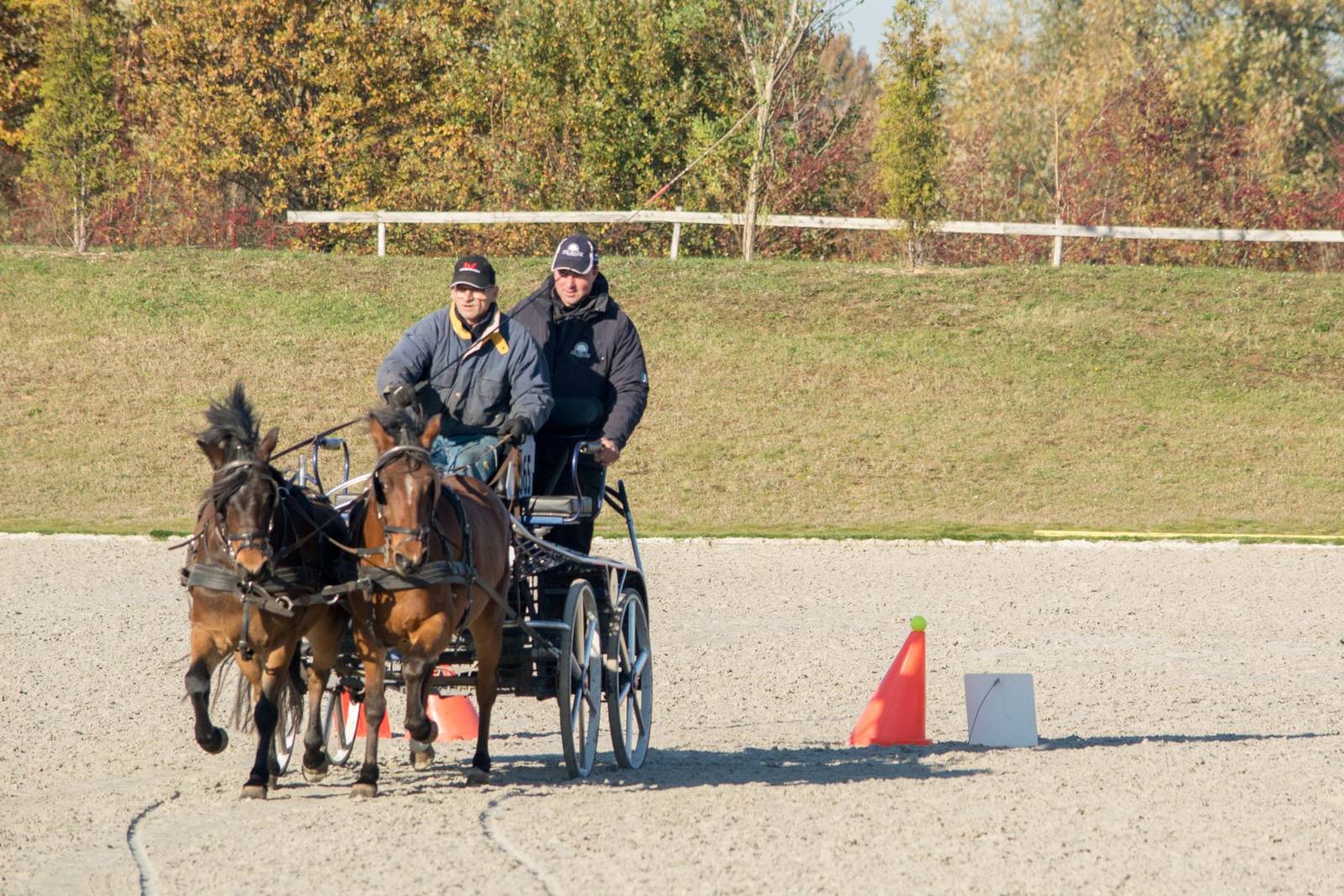 picture-1600 - 2023-09-11T091612.952