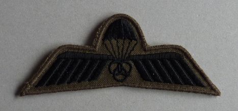 P1020529