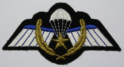 P1040019