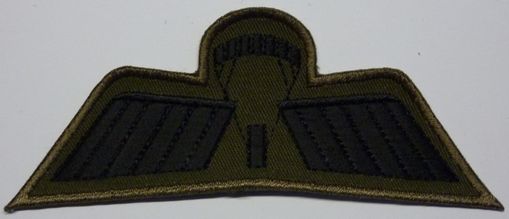 P1070145
