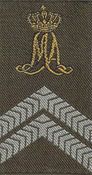 Rangen GVT KL KMA (7)