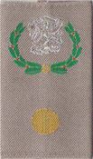 Rangen GVT desert geel (24)