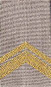 Rangen GVT desert geel (9)