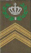 Rangen KL GVT groen-geel (47)