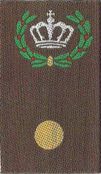 Rangen KL GVT groen-geel (64)