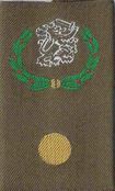 Rangen KL GVT groen-geel (69)