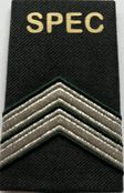 Rangen KL SPEC (19)