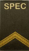 Rangen KL SPEC (2)