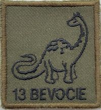 foto-bevotransport-3-copy