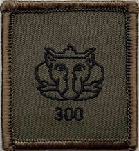 foto-bevotransport-40-copy