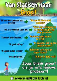 Van statisch naar groei