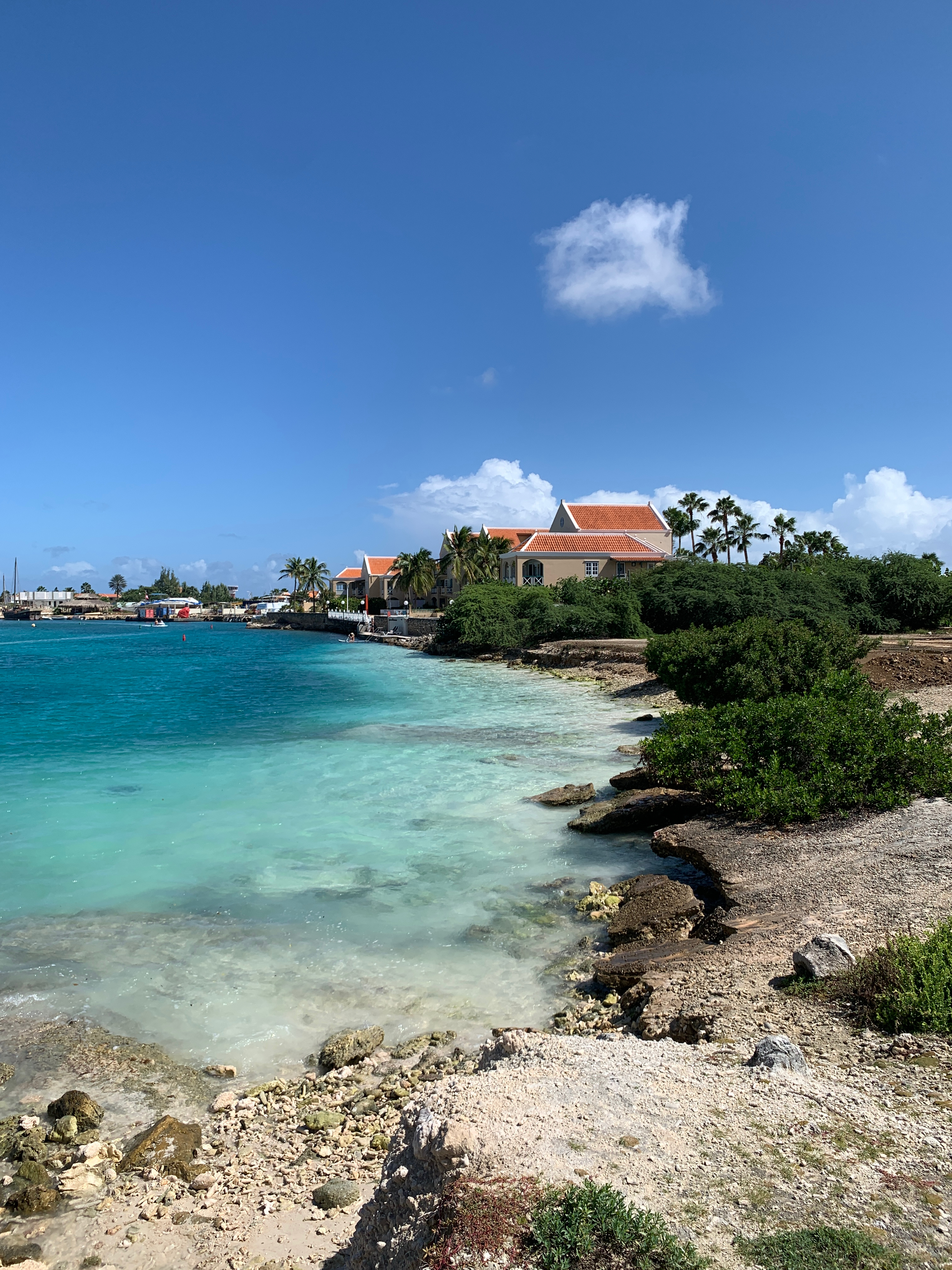 bonaireIMG_8437