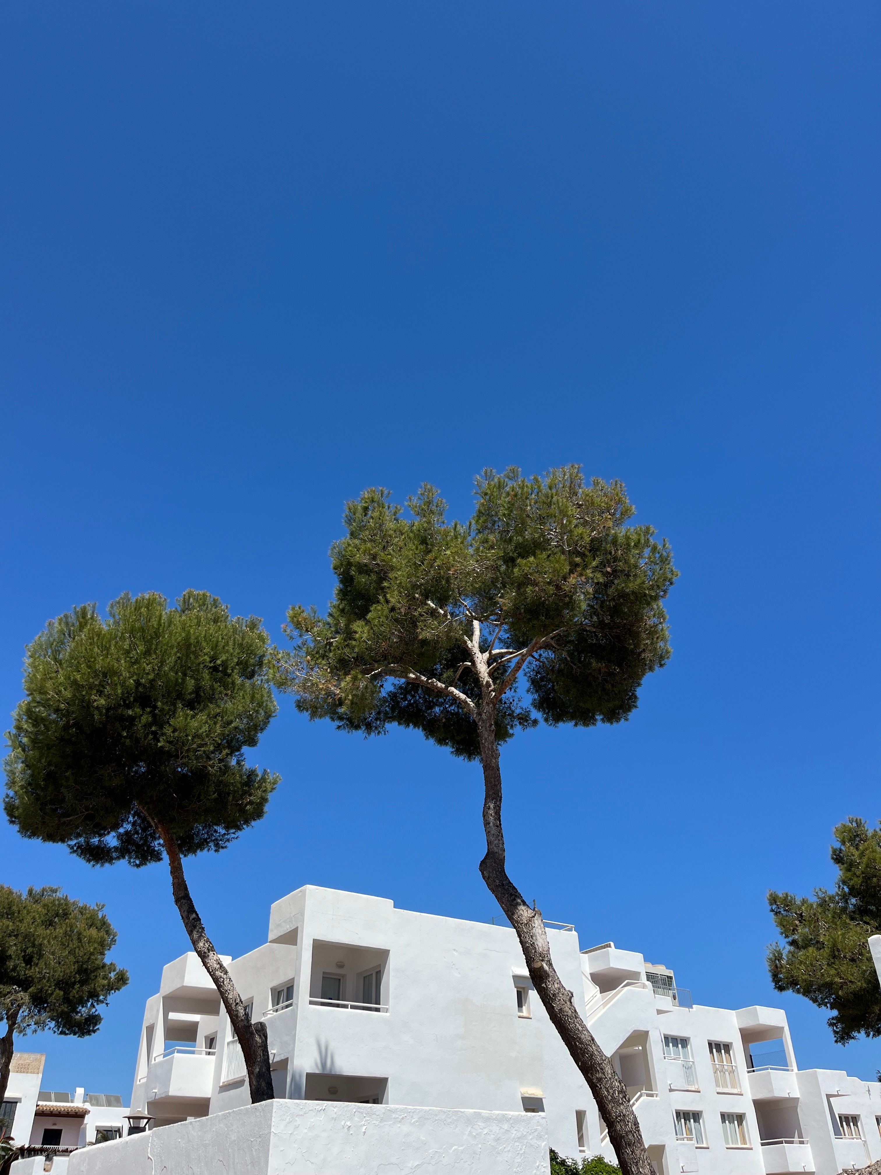mallorcaIMG_9770