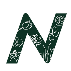 Nosa Flora export flowers plants Holland