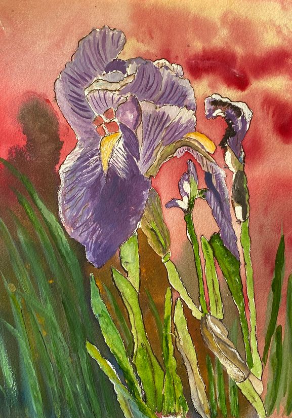 riet