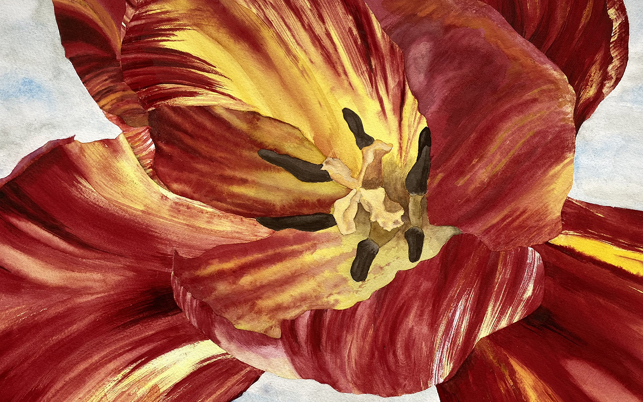 Tulp2