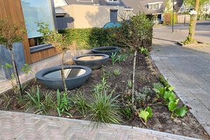 Moderne tuin
