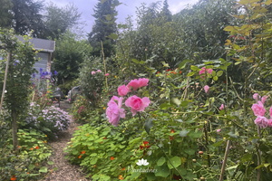 De alles mag tuin
